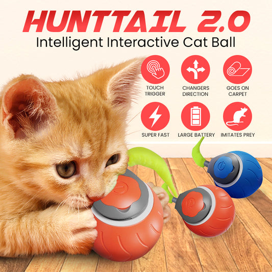 HuntTail 2.0